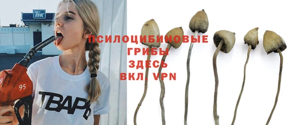 гашиш Новодвинск