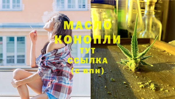индика Няндома