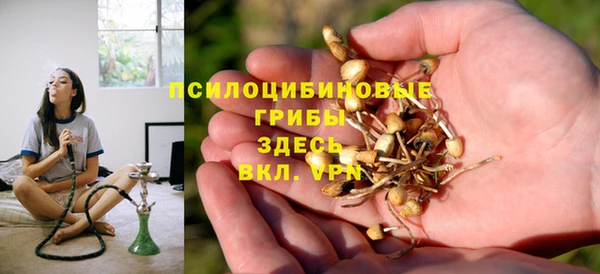 гашиш Новодвинск