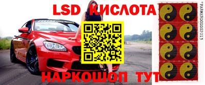 крисы Мариинск