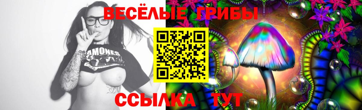 Галлюциногенные грибы Psilocybe  Галлюциногенные грибы прущие грибы  Вход с VPN  Нягань 